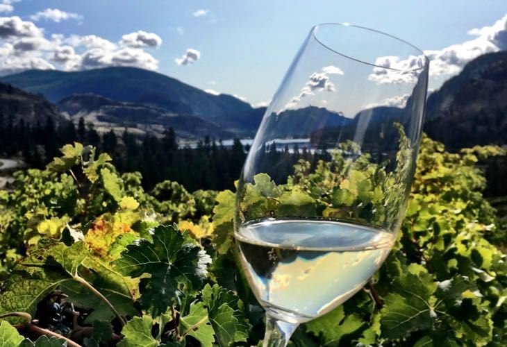 #bcwine trends (@bcwinetrends) on Twitter photo Best of the #BCwine Blogs pinterest.ca/bcwinetrends/b…
<a href="/hiredBelly/">Tim Pawsey</a> <a href="/PopandPour/">Pop & Pour</a> <a href="/goodgrog/">John Schreiner</a> <a href="/mywinepal/">Karl @ MyWinePal 🍷🍁</a> @bcwinetrends <a href="/myvancity/">MyVanCity</a> <a href="/volcanichillswi/">VolcanicHills Winery</a> <a href="/DeepRootsWine/">Deep Roots Winery</a> Best of the #BCwine Blogs pinterest.ca/bcwinetrends/b…
<a href="/hiredBelly/">Tim Pawsey</a> <a href="/PopandPour/">Pop & Pour</a> <a href="/goodgrog/">John Schreiner</a> <a href="/mywinepal/">Karl @ MyWinePal 🍷🍁</a> @bcwinetrends <a href="/myvancity/">MyVanCity</a> <a href="/volcanichillswi/">VolcanicHills Winery</a> <a href="/DeepRootsWine/">Deep Roots Winery</a>