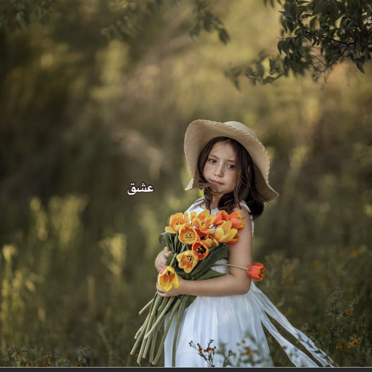 لستُ أدري هل يشيبُ الحلم يوماً أم أراهُ طُول أيامي صبيّا .. يا تُرى لو شابَ حلمي هل يموتُ الحلم يوماً وأنا ما زلتُ حيّآ.
✨🕊
#نبض_الامل_للدعم