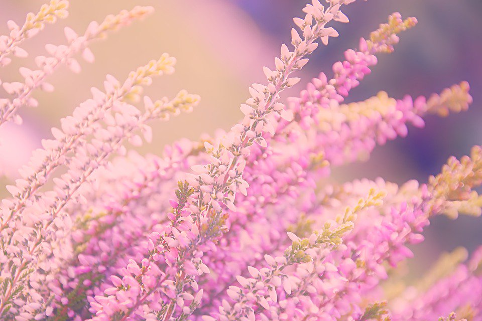ColetteLafia's tweet photo. Cultivating the Heart of Compassion - There are so many moments in which we can be a compassionate presence to another person. If we reflect upon even a day in our lives, we will realize this.
https://t.co/dDfVZEcXMq
#compassion #wednesdaywisdom #listening #love https://t.co/Rg6wXn2yzT