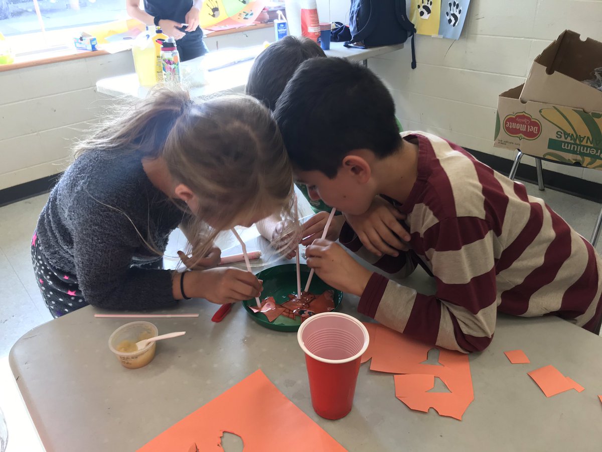 BGCHamHal's tweet image. #MiniScientists are strategizing to prevent overharvesting in their fisheries. #sustainability #DiscoveryLab @Celgene