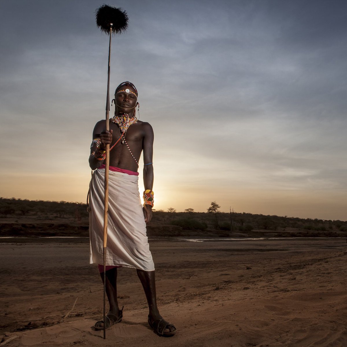 Leonardo DiCaprio tweet media