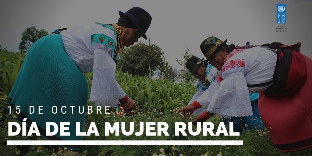 Las #MujeresRurales labran la tierra y plantan las semillas que alimentan naciones enteras. Ellas garantizan la seguridad alimentaria de sus poblaciones y ayudan a preparar a sus comunidades frente al #CambioClimatico.

¡Feliz día #MujeresRurales!👩‍🌾