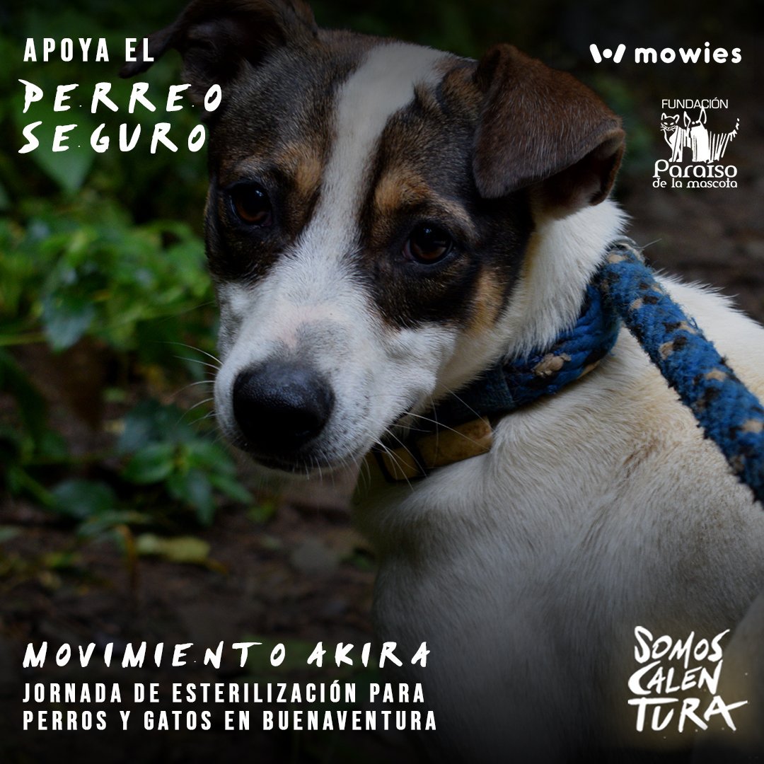 Regístrate y sigue las instrucciones para ganar el 20% de las ventas y alquileres que se generen gracias a ti. 
Link de registro y más información: somoscalentura.mowies.com