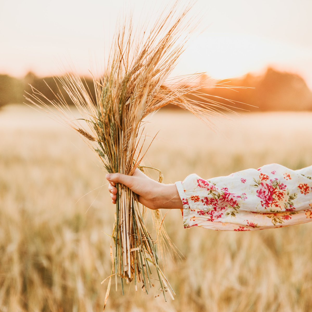 Today is #InternationalDayofRuralWomen;  globally, one in three employed women work in agriculture, wowza! 👩🏼‍🌾🙌🏻

A day to celebrate &amp; empower hard working women who are contributing to agricultural production, food security and nutrition, land and natural resource management.
