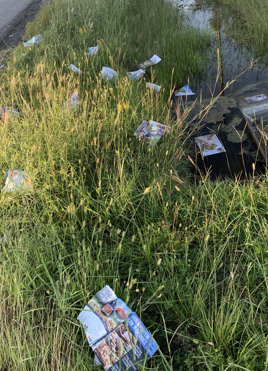 SocialGreenOF's tweet photo. We like nature without the trash🍃 https://t.co/T5p2z8m5uL