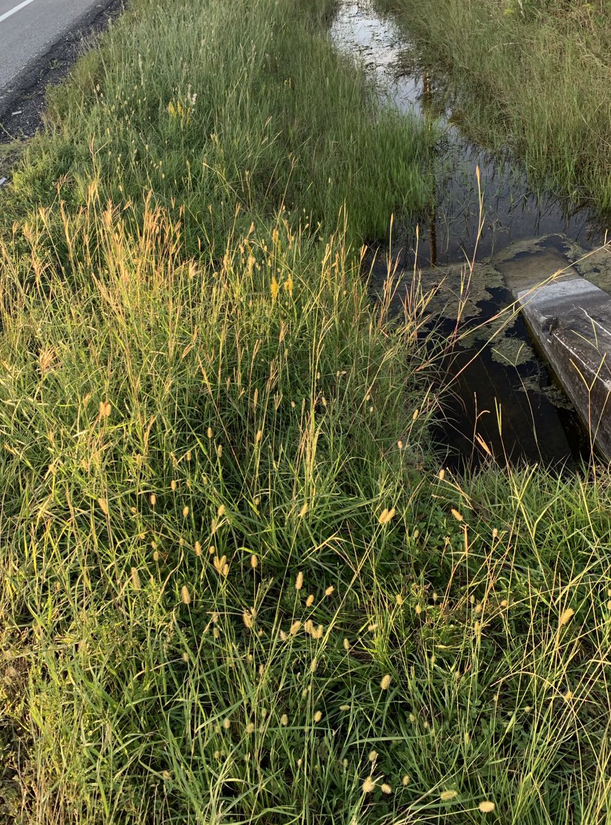 We like nature without the trash🍃