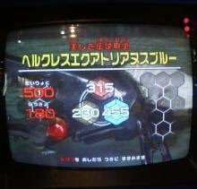 初めて知りました。 ヘルクレスエクアトリアヌスブルーの肩書きって