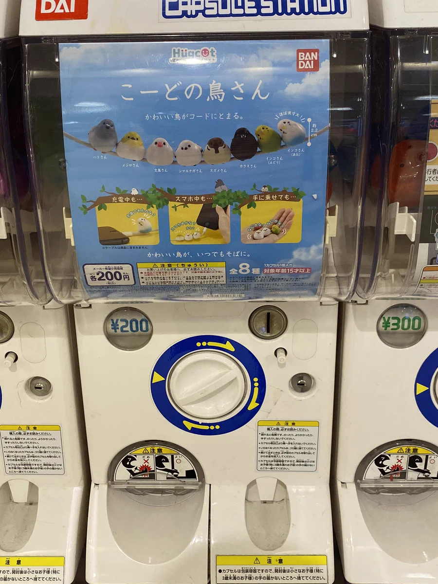 インコのかわいいガチャガチャ発見！！