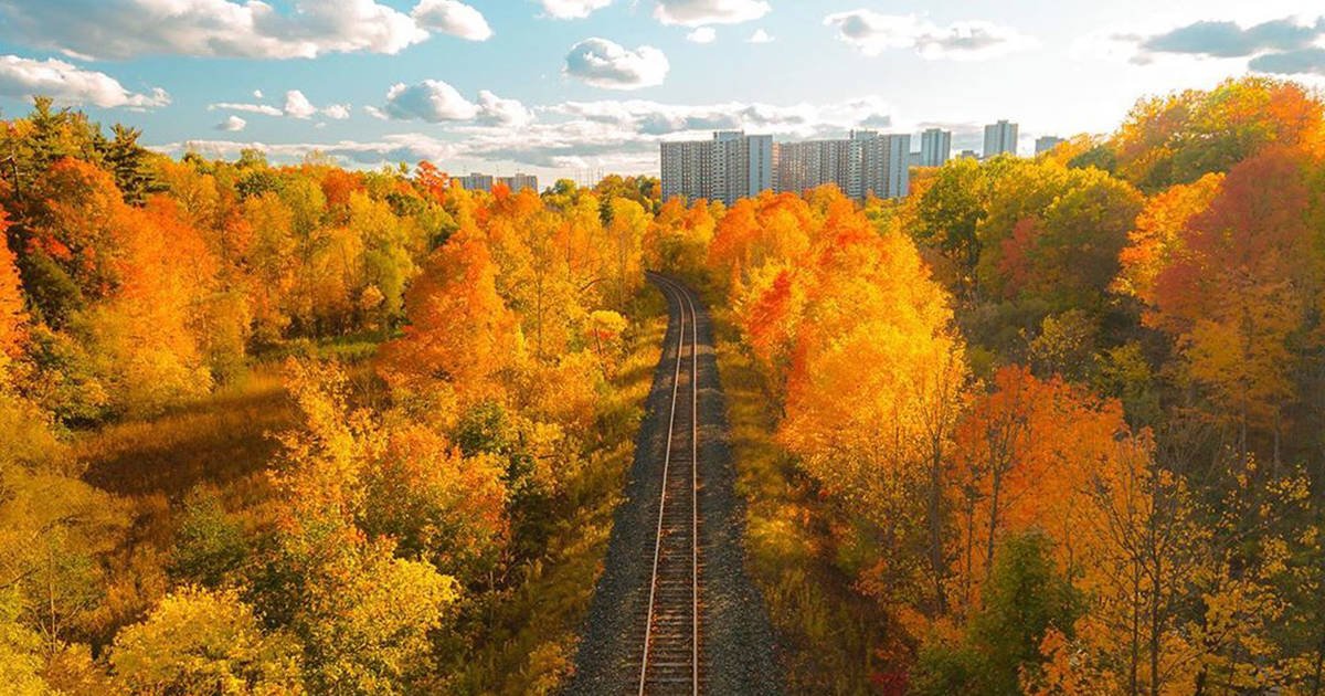 This is what fall colours look like in and around Toronto right now bit.ly/2J8TZi7 #Toronto #Fall #Autumn