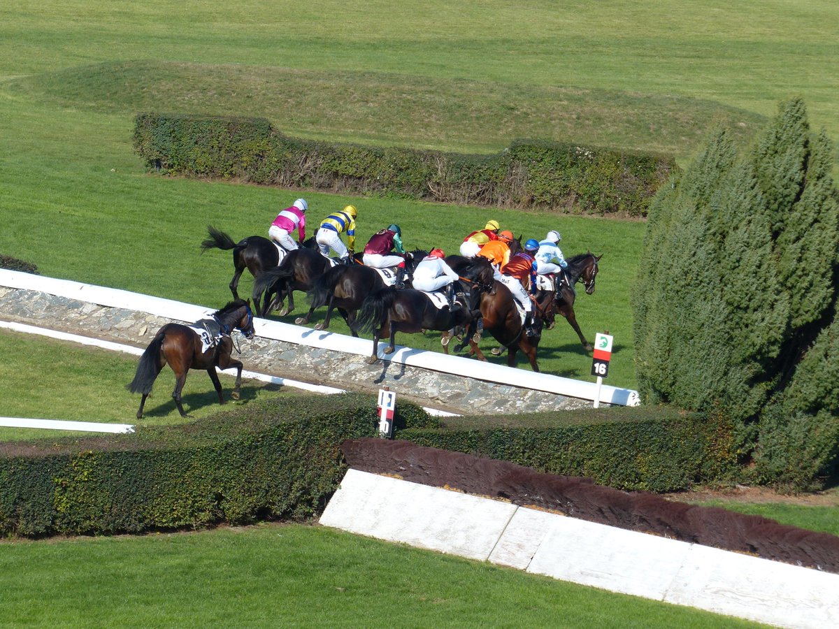 Still euphoric after watching the greatest steeplechase in the world (sorry Aintree!), the Velka Pardubicka in the Czech Republic @visiteastbohemia. Congrats to Brit jockey Thomas Garner who won me my each-way bet.