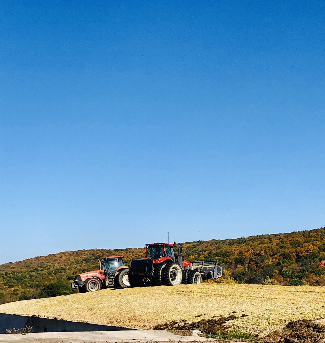 AgAshley26's tweet photo. I’d be fine if these gorgeous days lasted through the winter!! #fall #WNY #cornharvest #harvest19 #packing #dairy #silage https://t.co/F2SZuSsoXB