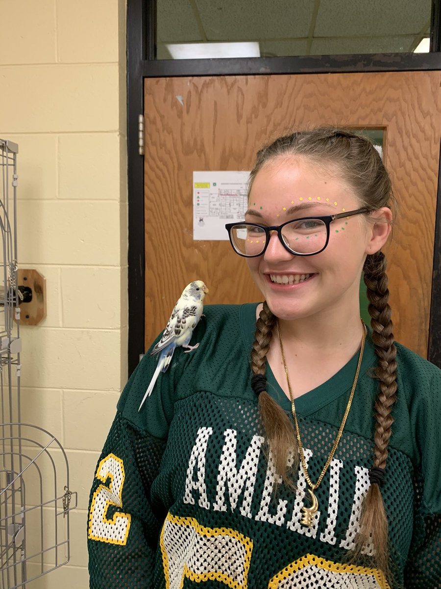 msease4's tweet photo. Shout to Sierra Pulver!! This Small Animal Care II student spent homecoming week working with Rio, our newest class addition. Rio would not let anyone hold him! Look at him now! He has been spending class time hanging out on everyone’s shoulders! #teamamelia #riotheparakeet https://t.co/XXjNPRjFTk
