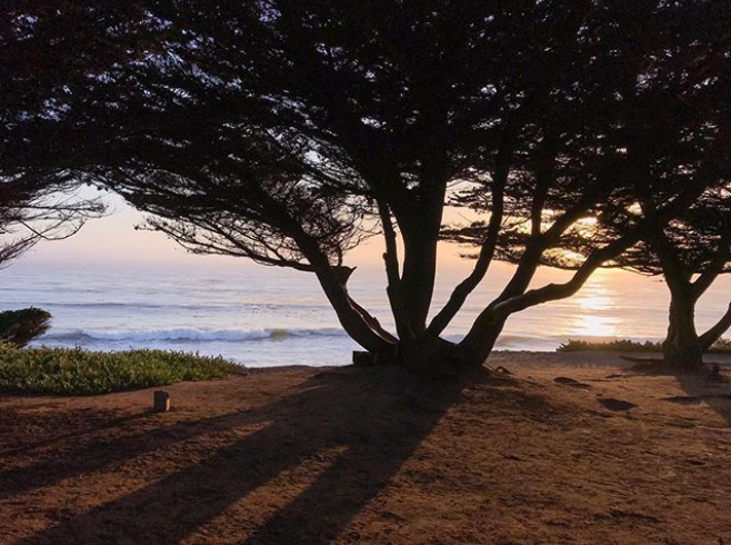 Oceanpoint Ranch tweet media