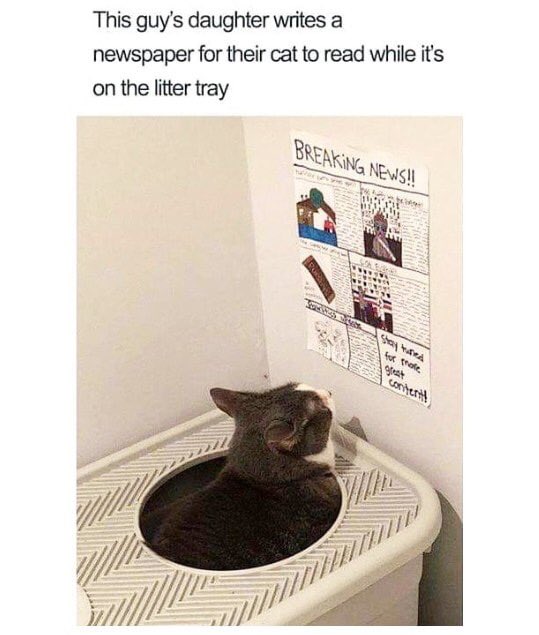 How fucking cute is this