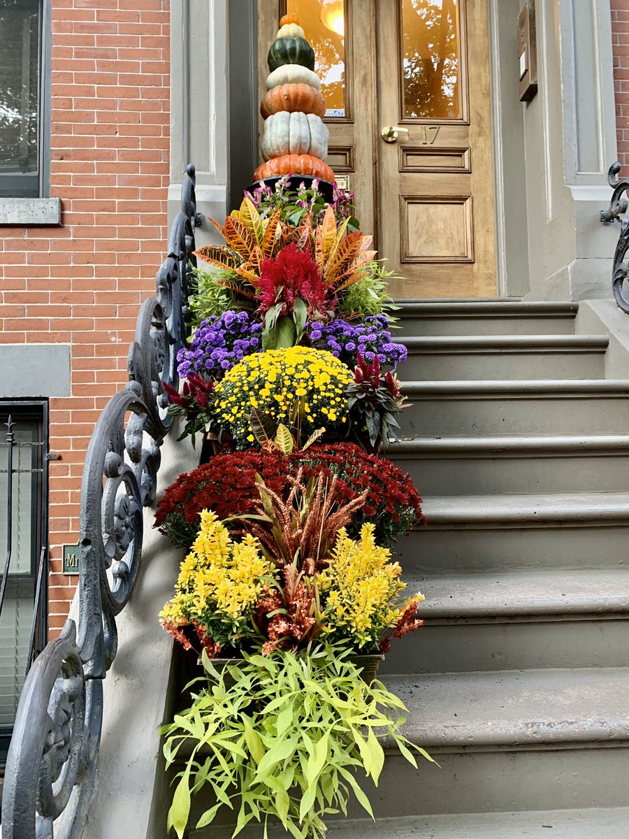 susantran's tweet photo. An ode to my #SouthEnd neighbors. They know how to do fall!!! #FallFabulous #InAweWithAutumn #Boston https://t.co/SnULQR9NO0
