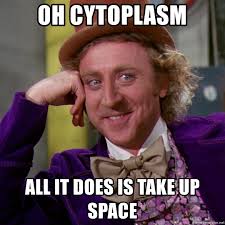 NetworkPlasmic's tweet photo. #organellewars @Bio2019Frazee @CytoplasmSlick https://t.co/ZMhgV8cGiA