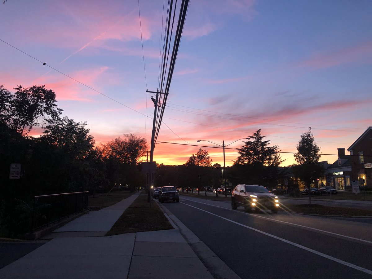 Sarah Gannon tweet media