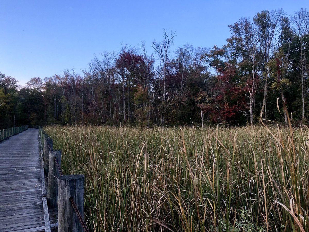 Sarah Gannon tweet media