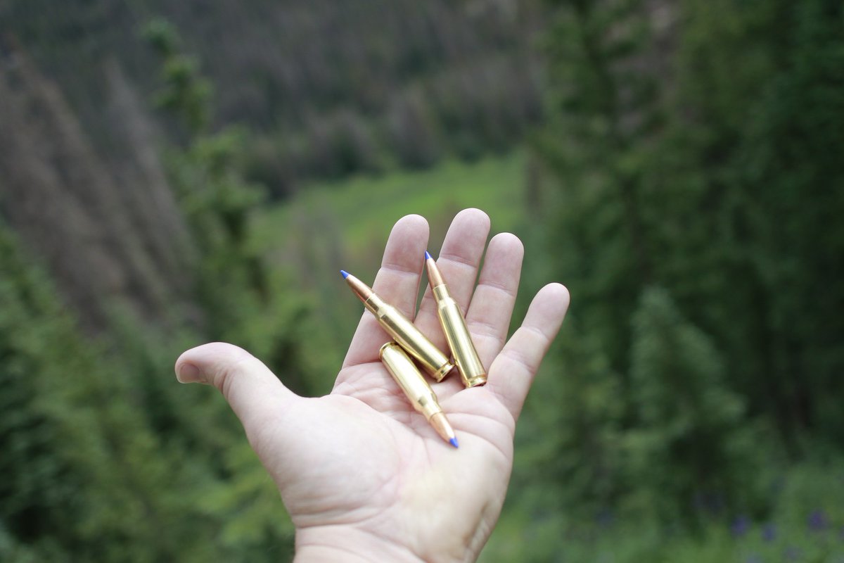 normaprecision's tweet image. Fact: BONDSTRIKE's long-range expansion &amp;amp; knockdown power stopped a large moose with a single shot. Tough construction kept the bullet intact inside 100 yards on a big old boar. Near or far, we know you’ll come to trust #BONDSTRIKE. ow.ly/kA9550wMgty