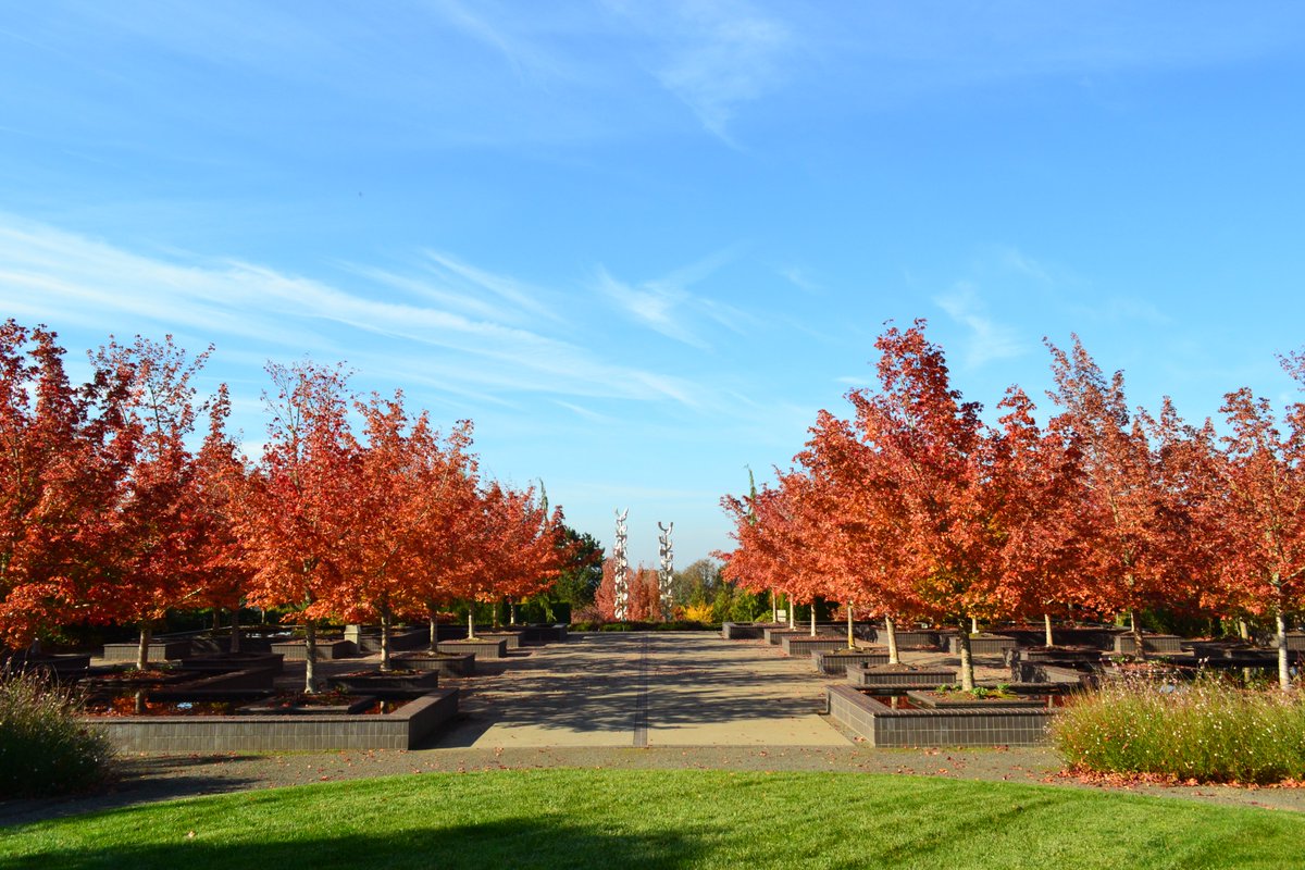 Where to enjoy fall foliage near Salem, #Oregon: bit.ly/2mhAGdy