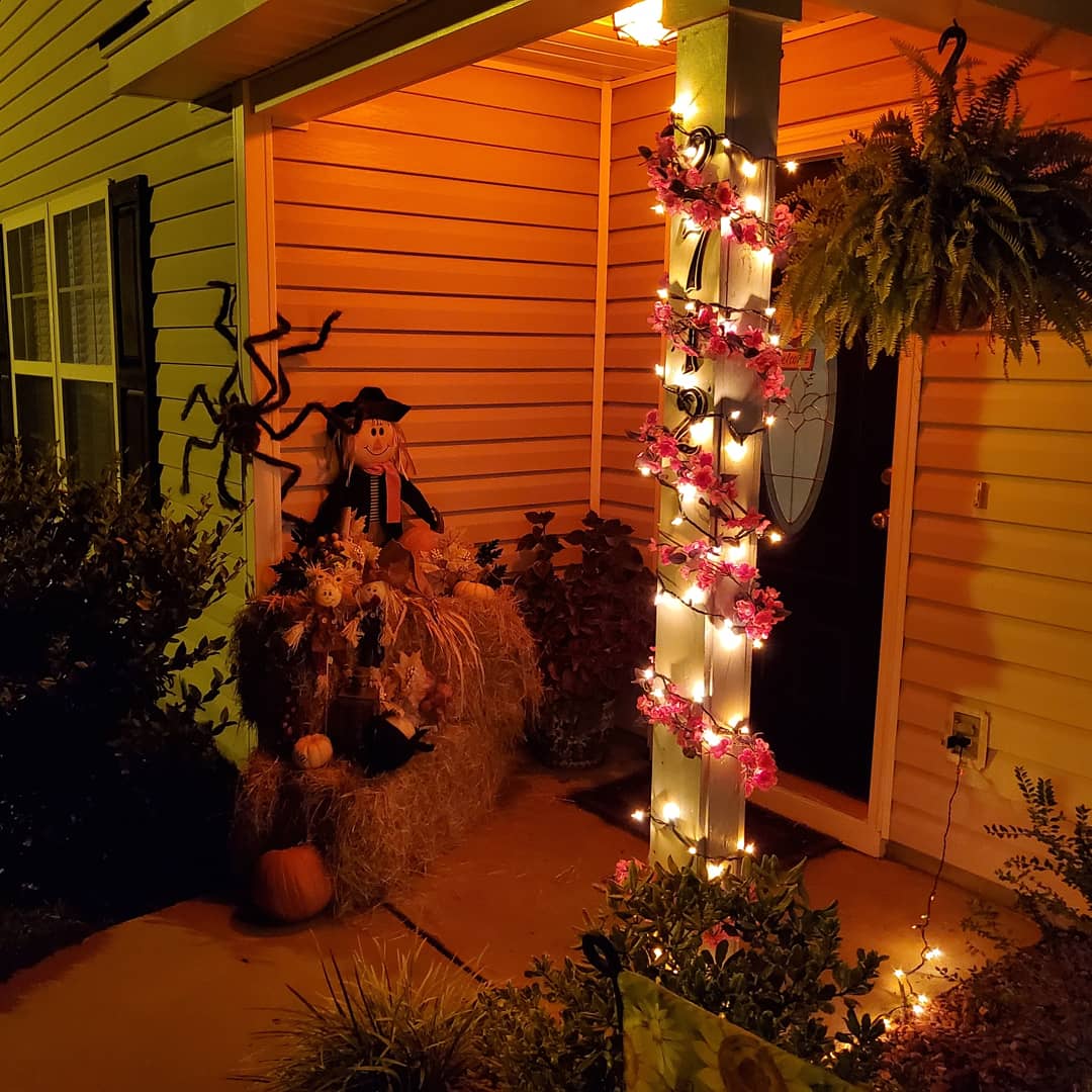 We added an orange light to make it even more festive!!  🎃🍂🌾🧙‍♀️😁
#falldecoratingideas #orangelight #morefestive #fallatthebeach #fallinthesouth🍁🍂