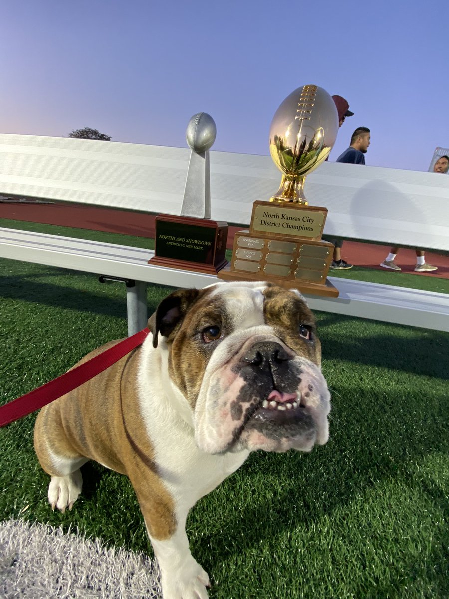 Mr. Fields tweet media