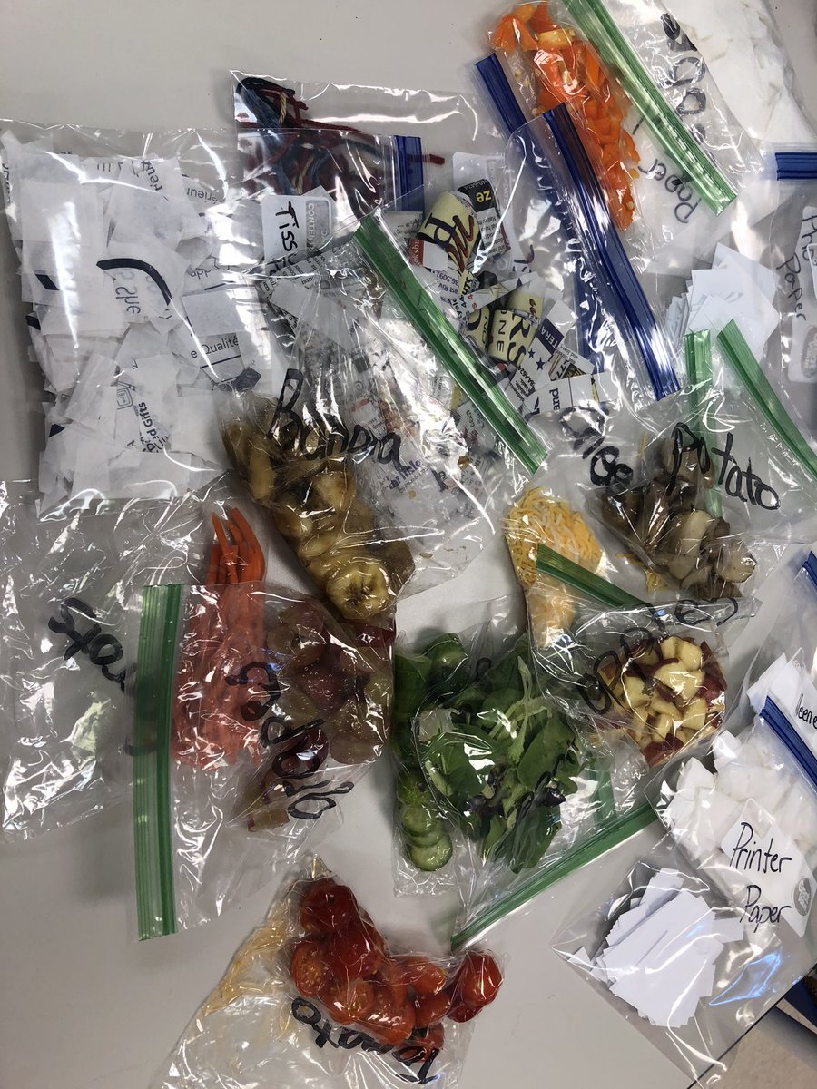 KiserClass's tweet image. Setting up and preparing for our compost studies. These scientists have learned how to manage materials, work cooperatively, and ask interesting questions. #WeAreMidview #ObservingCHANGE #LifeScience #compost