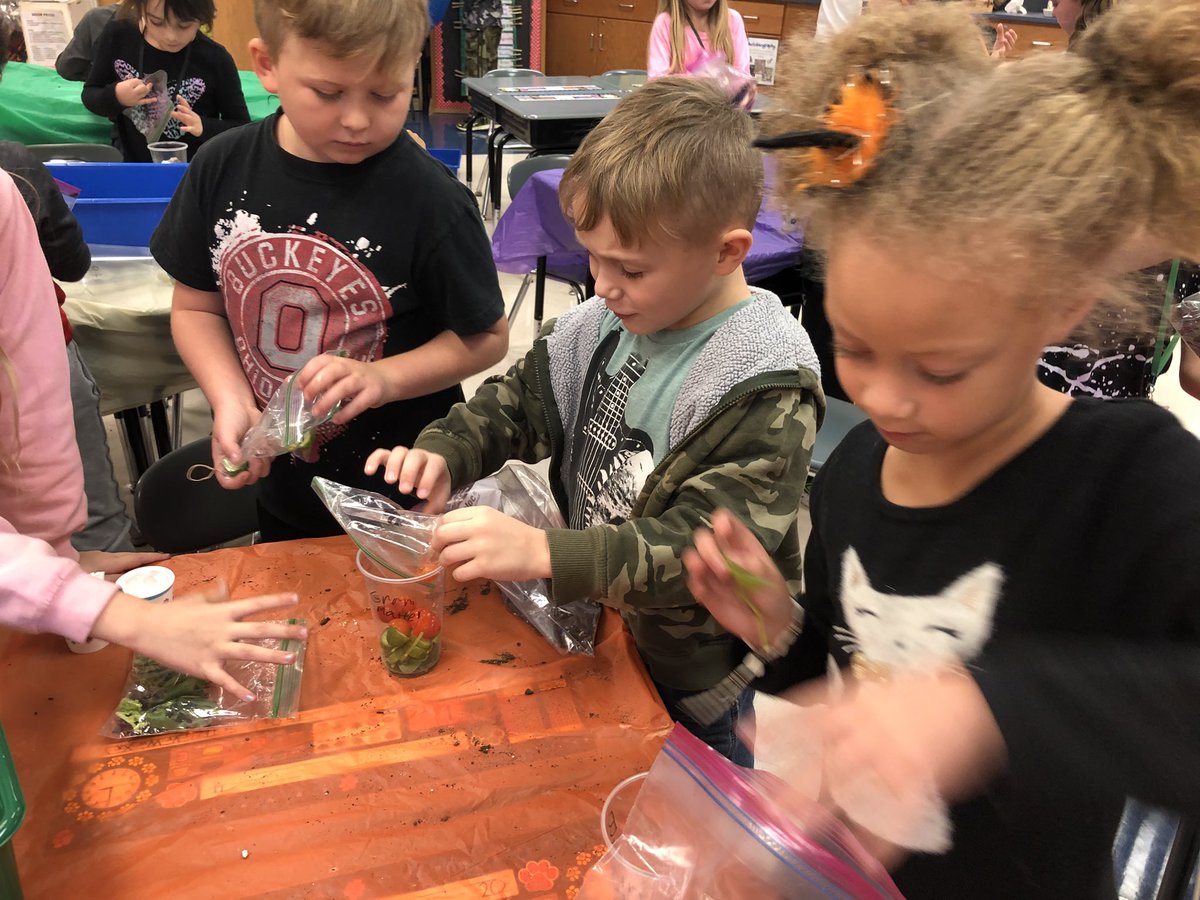 KiserClass's tweet image. These are my favorite moments...when the learners are so engaged &amp;amp; working as a team. We have set out to discover what mixture of green &amp;amp; brown material will compost the best. Hopefully, we will have nutrient rich soil by spring. #WeAreMidview #ObservingCHANGE #compost