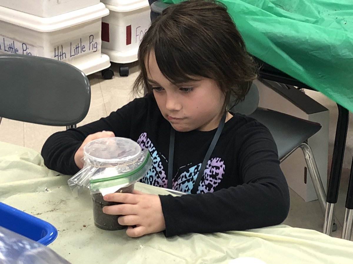 KiserClass's tweet image. These are my favorite moments...when the learners are so engaged &amp;amp; working as a team. We have set out to discover what mixture of green &amp;amp; brown material will compost the best. Hopefully, we will have nutrient rich soil by spring. #WeAreMidview #ObservingCHANGE #compost