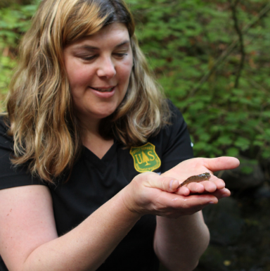 usfs_pnwrs's tweet photo. Major congrats! Our Dr. Brooke Penaluna, research fish biologist at our Corvallis Lab, received a 2019 "Emerging Leaders Mentorship Award" from the @AmFisheriesSoc - https://t.co/Vwz2l6zbri. https://t.co/ARRJx7ZYJ3