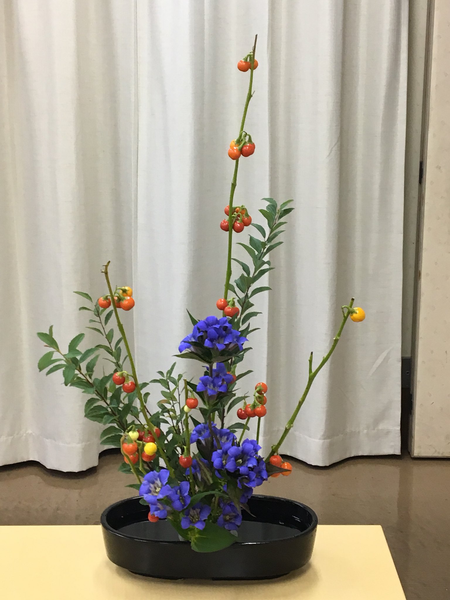 真猫 昨日のお稽古花 花ナス 実物 プチトマト違う ナスね 竜胆 華 りんどう 今日の子は花びら多め こでまり 枝葉 咲いてないとわからん お稽古花 小原流 花ナス 竜胆 りんどう こでまり 小手毬 華道 いけばな 生け花 Ikebana Ohana 華
