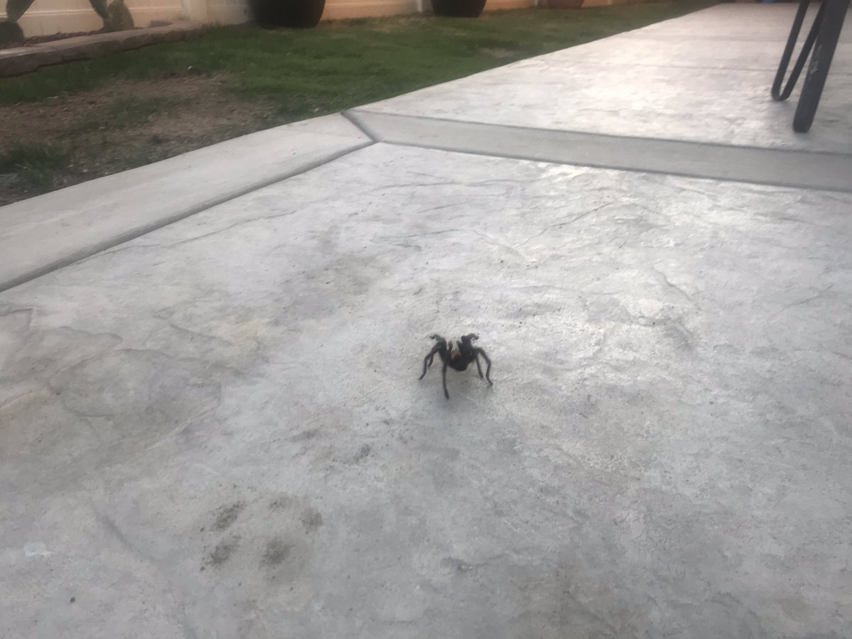 Dave in So Cal tweet media