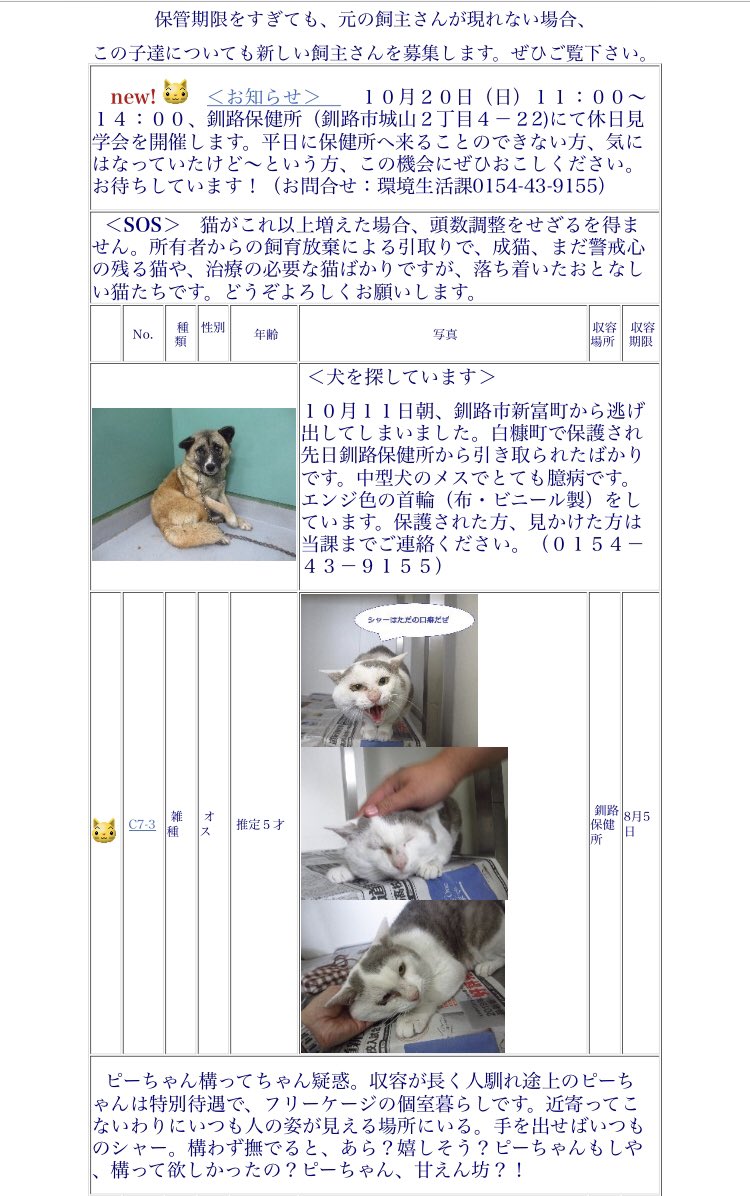 الوسم ピーちゃんが気になる على تويتر