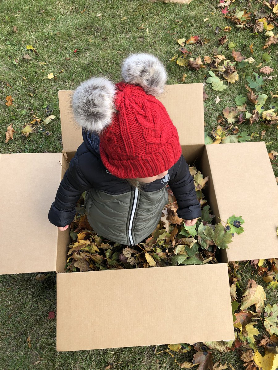 MalicMrs's tweet photo. Tiny helper ♥️ https://t.co/FR6srXJDFg