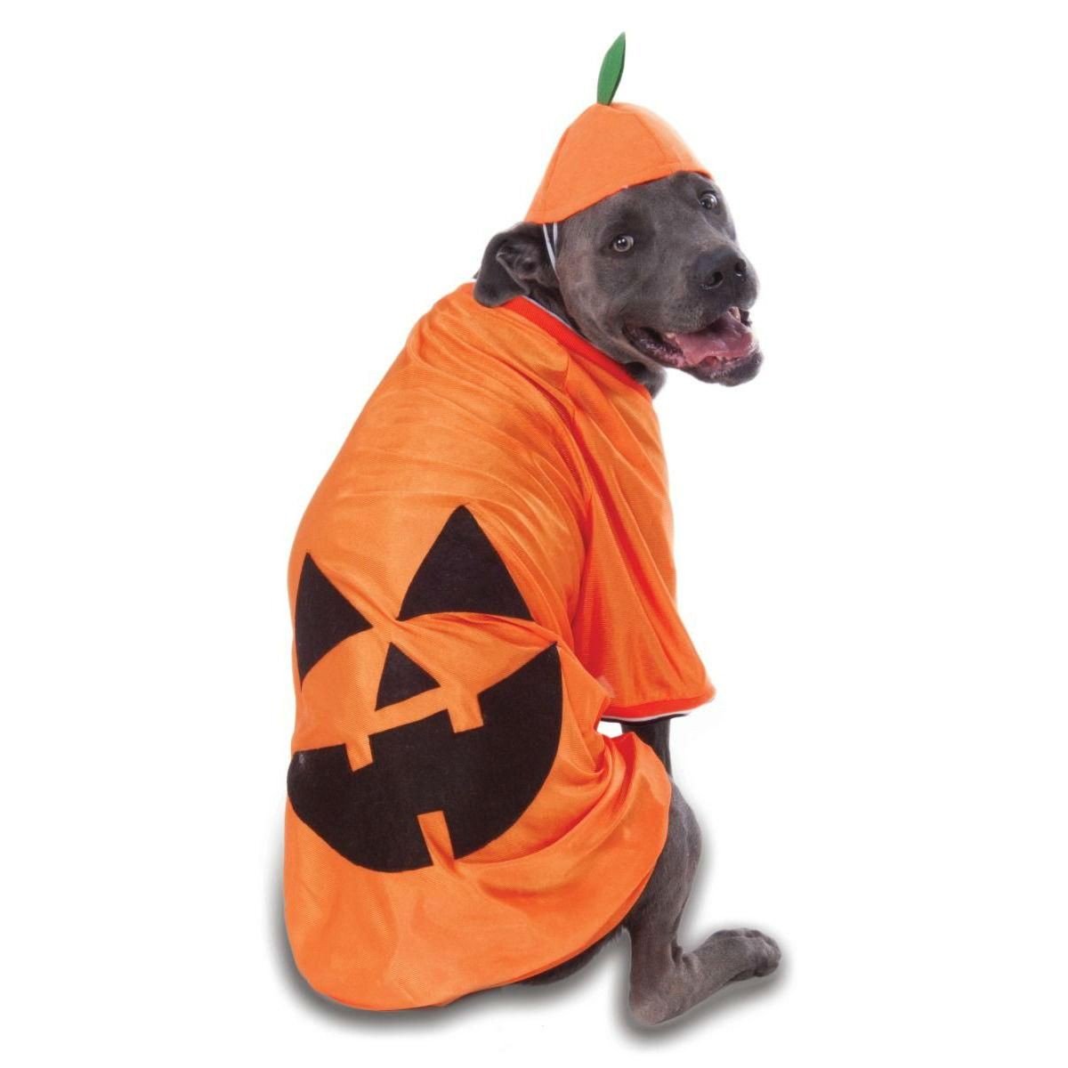Rumplepimple1's tweet photo. #dogsoffall https://t.co/3iseqcaukC