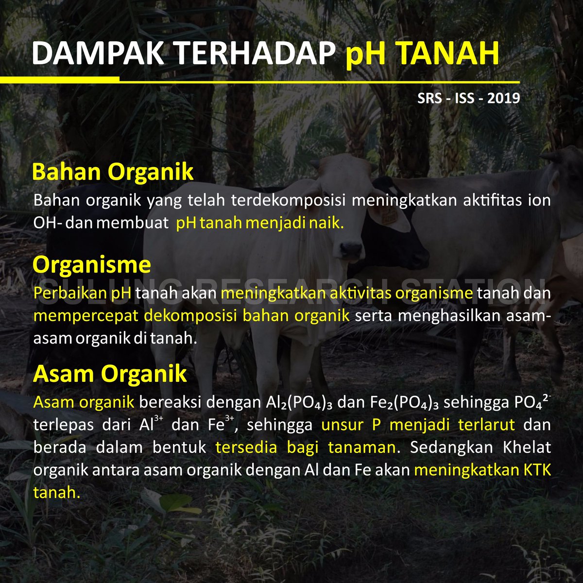 sulungresearch's tweet photo. Integrasi Sawit Sapi
-
Penerapan integrasi sawit sapi memiliki dampak terhadap perkebunan kelapa sawit. Apa salah satu dampak nya ?
-
#srsonthemove #sulungresearch
#research #industri #pertanian #indonesia
#penelitian #minyak #sawit #palm #oil
#ISS #Integrasi #Sawitsapi https://t.co/JuCBmYa71I