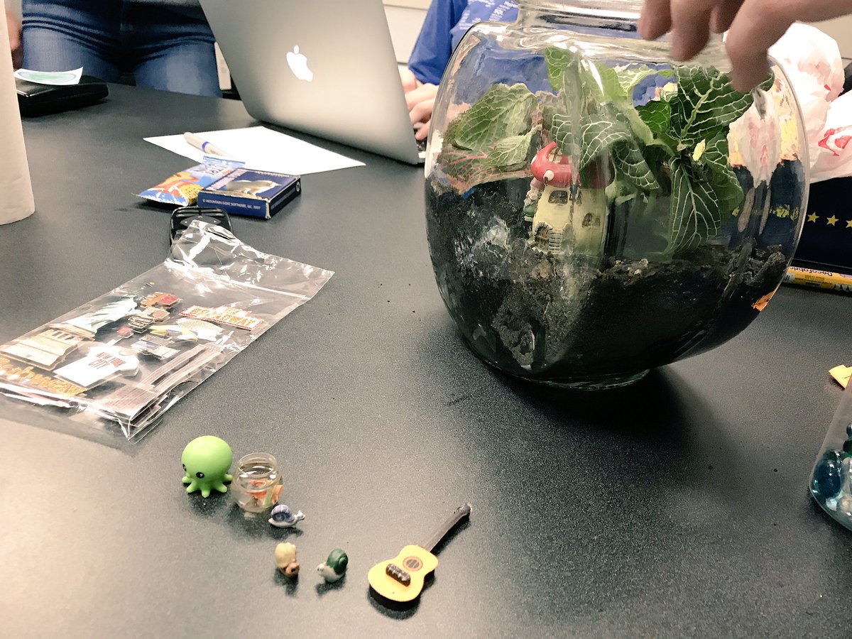 clu_who's tweet photo. Had a productive, awesome week in Austin! Already miss you all! Some after hour highlights included a delicious taco feast by Chef @manuel_silveyra, building a terrarium together, and eating errthing! Thanks for keeping it weird! @kostickmegan @mbrewed @vbrunssen @WillPlusnick https://t.co/y4qwKudEJH