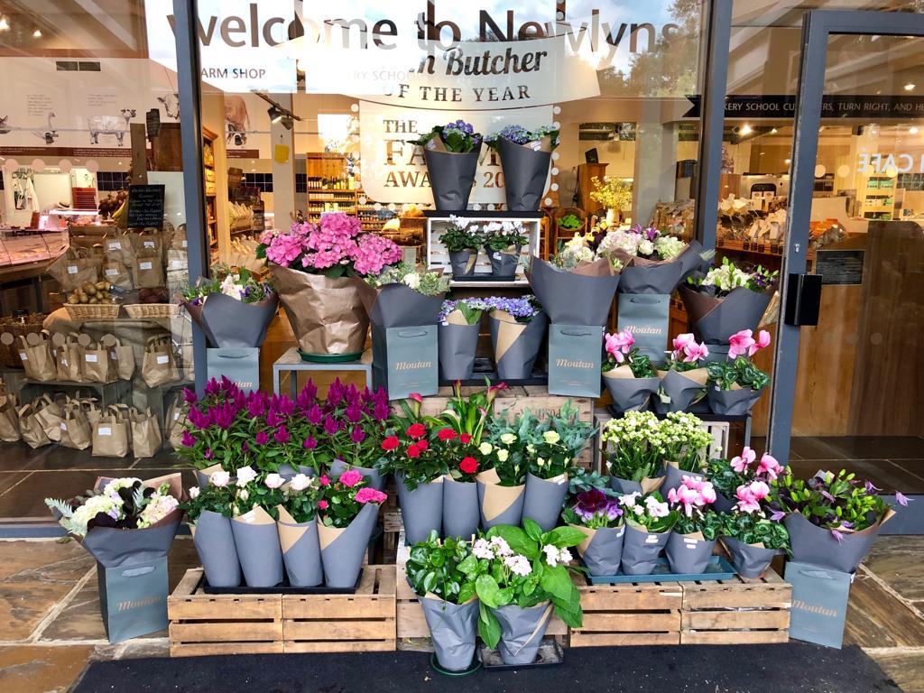 MoutanFlowers's tweet image. FARM SHOP FLOWERS // A wonderful display of #moutan handed bouquets, plants and faux flowers @newlynsfarm this weekend! 
Pick up a floral gift for you or someone else when you visit this #awardwinning #farmshop

#hampshire