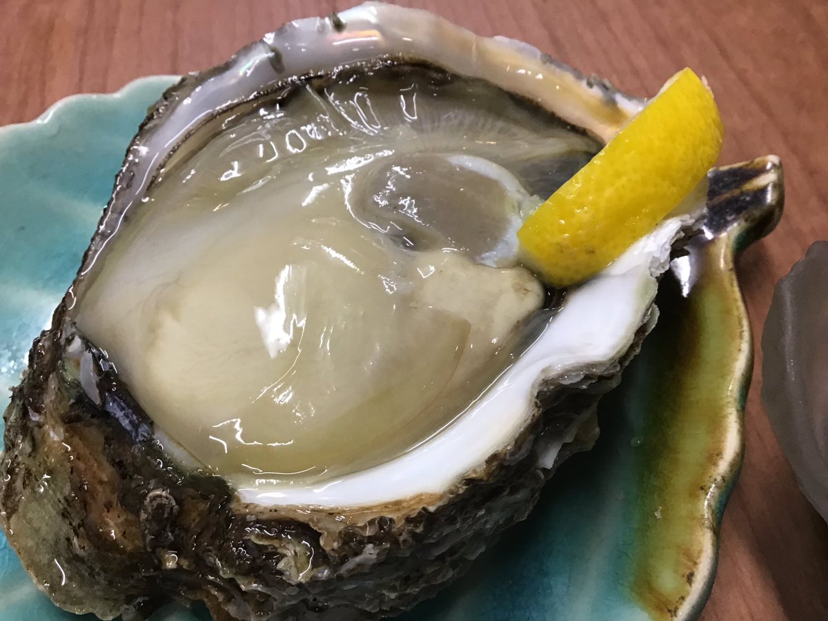 炭火や 牡蠣祭り開催 岩手県赤崎牡蠣 北海道はかきえもんの2種食べ比べ 超レア品 牡蠣のなめろう 富豪級な一品 かきのしゃぶしゃぶ トロサーモンも入荷しました 上沼恵美子さんは来ません 定番のカツオネギユッケ クジラのネギ塩ユッケも 炭火や 牡蠣祭り開催 岩手県赤崎牡蠣 北海道はかきえもんの2種食べ比べ 超レア品 牡蠣のなめろう 富豪級な一品 かきのしゃぶしゃぶ トロサーモンも入荷しました 上沼恵美子さんは来ません 定番のカツオネギユッケ クジラのネギ塩ユッケも