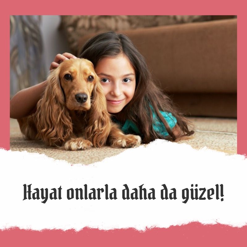 4 Ekim Dünya Hayvanları Koruma Günü Kutlu Olsun
Tek bir günle sınırlı kalmaması dileğiyle...

 #4EkimHayvanHakları #HayvanlarıKorumaGünü #4ekim #hayvanlar #koruma #korumagünü #hayvanlarısevelim #evrenselhayvanhaklaribildirgesi #october4th #worldanimalday #worldanimalday2019