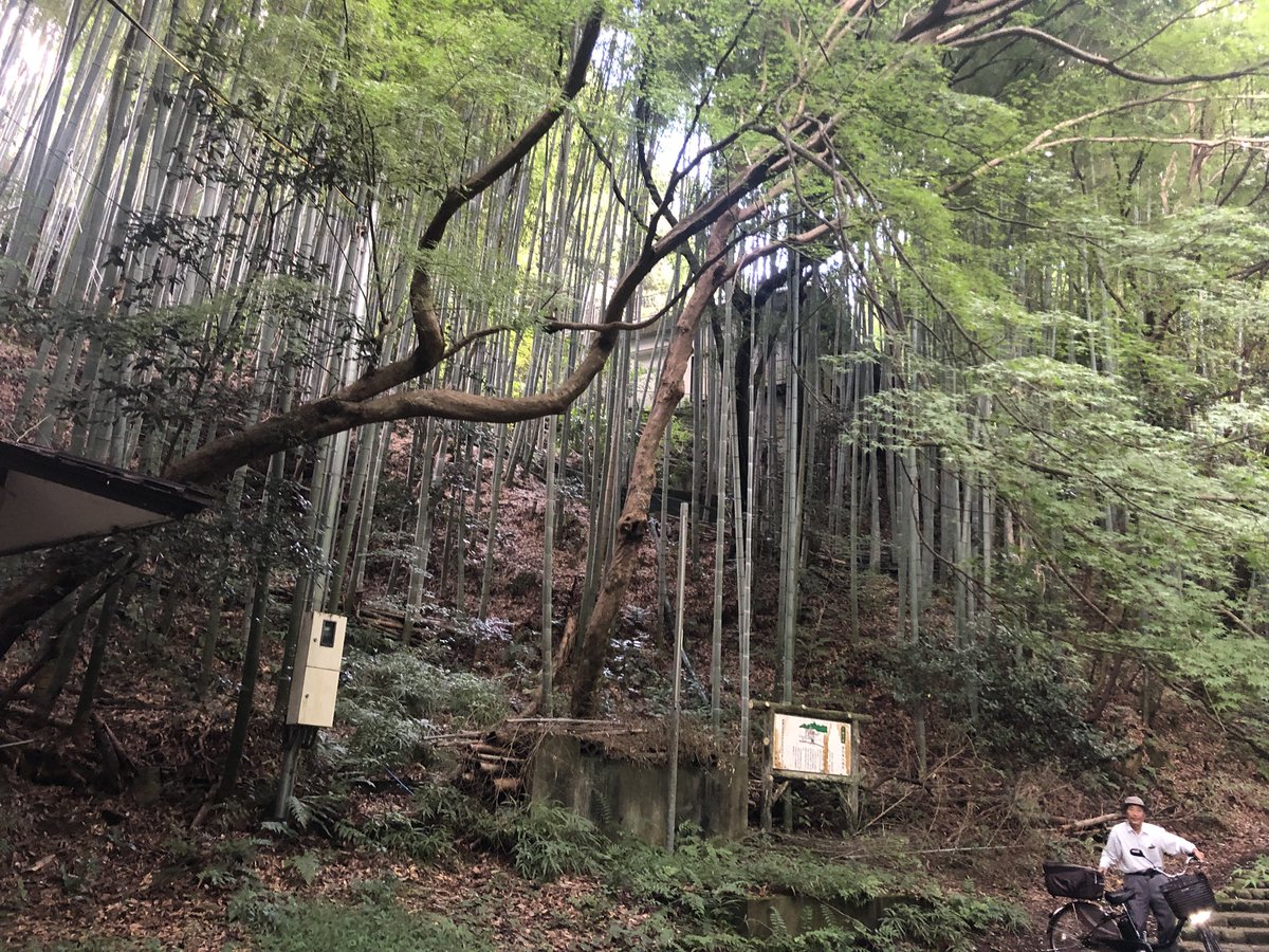 nkr_5kg's tweet photo. 綺麗な場所やな https://t.co/9723UdbL1O