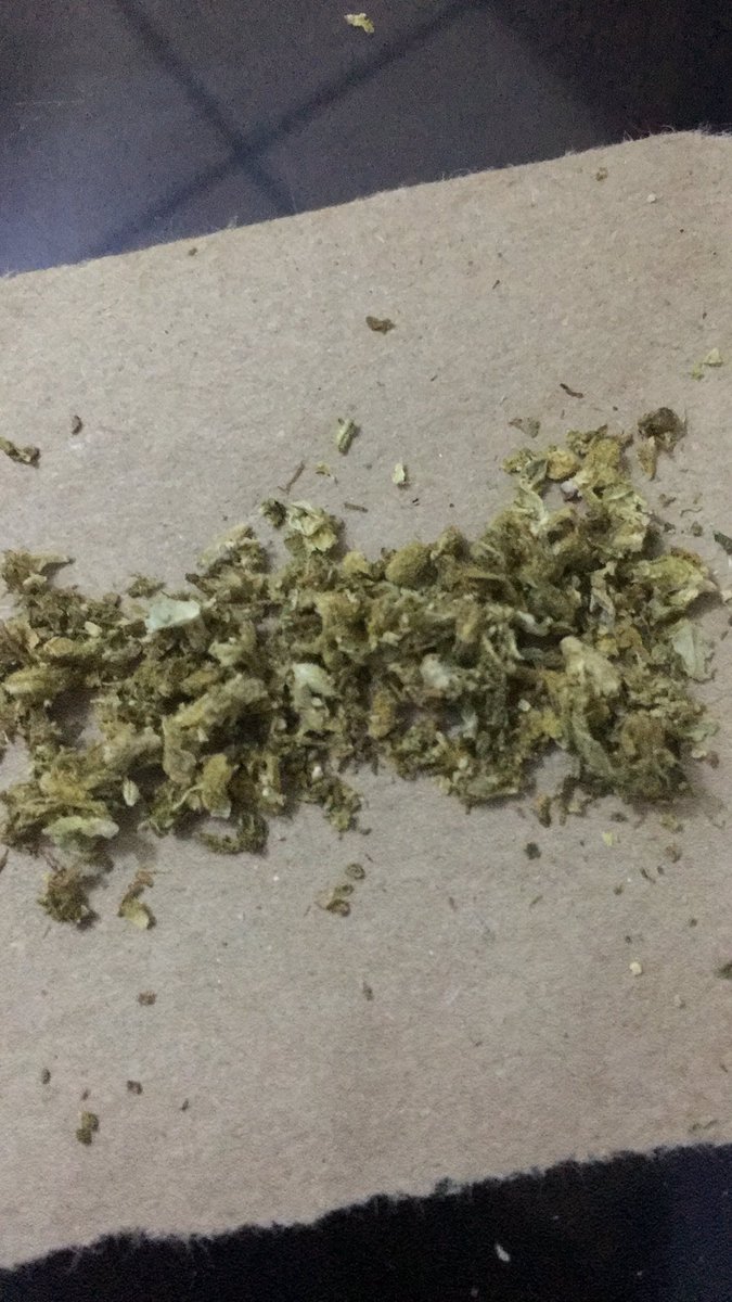 niggasinglemty's tweet photo. A darle , uno más alguien quiere 👽🚬🍁 puro 420 #gustan #parejas #afumar #aponersecachondo https://t.co/zxLlhrLH1A