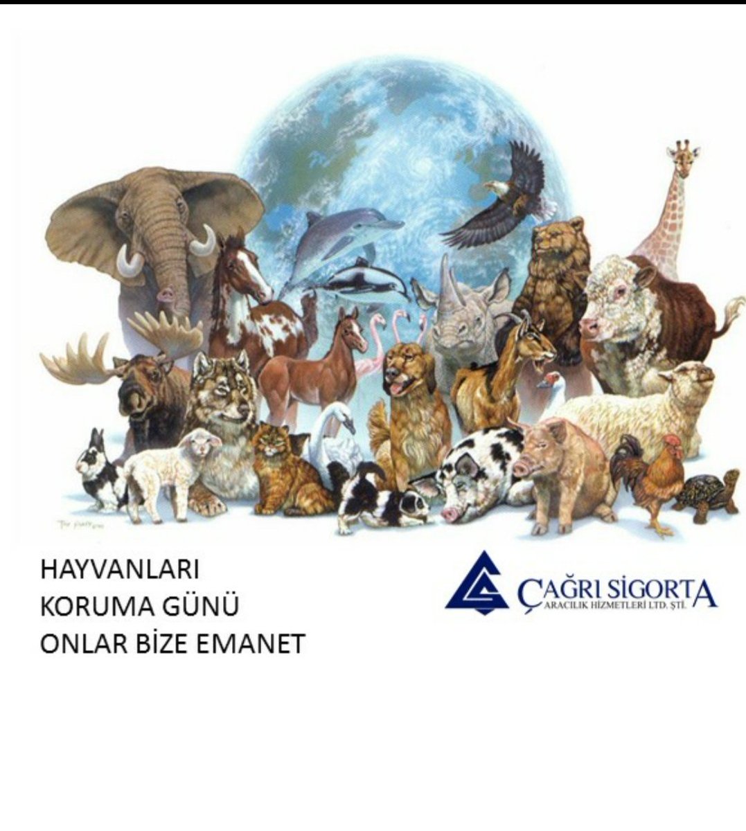 Çağrı Sigorta (@cagri_sigorta) on Twitter photo 