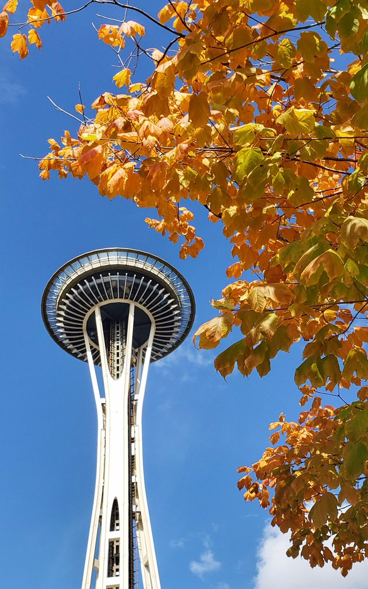 jamesjos_photog's tweet photo. Leaving work today. #KOMONews #Sonorthwest #spaceneedle #seattlefall https://t.co/hvZGSJpNa0