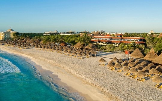 Josh Reilly tweet media