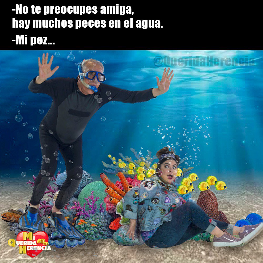 PatoCastillofic's tweet photo. #QueTalBellasDamas tengo que pescar a #LaJeny @luzaldan, ahora si, no se me escapa..!!! Esta noche la pesco en #MiQueridaHerencia al terminar #DeniseMerker por @Canal_Estrellas @QueridaHerencia @roxcastellanos @PAULSTANLEYD @eliassolorio #Serie #Comedia #Humor #ParaTodaLaFamilia https://t.co/WbV2GeYjBM