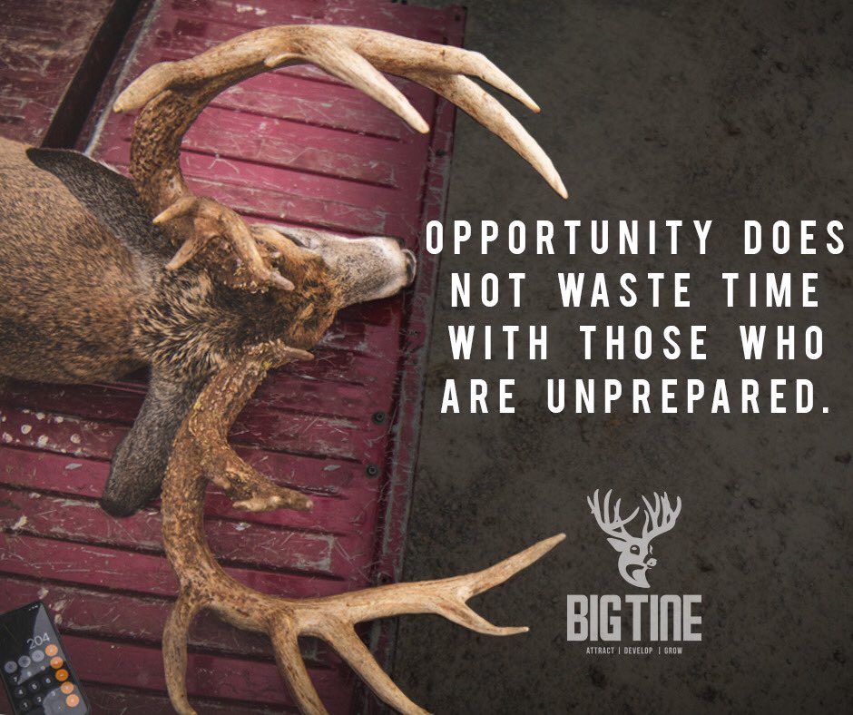 Big Tine Official (@big_tiner) on Twitter photo 