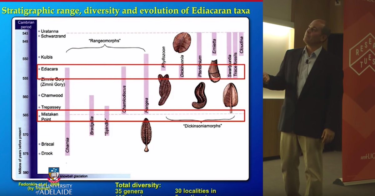 environmentinst's tweet photo. VIDEO: @DGarciaBellido's Animal Dawn from #ResearchTuesday was a very popular presentation.
https://t.co/i0NpCK0pSP
@ACAD_Adelaide @UniAdelSciences @SAMuseum @UniofAdelaide #EdiacaraBiota #macroorganisms #Cambrian #Fossil #EmuBayShale https://t.co/Vy52fRv1qR