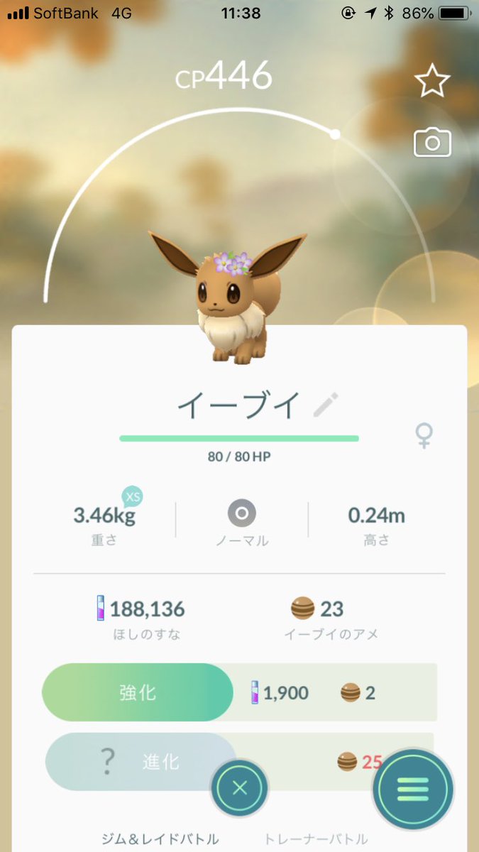 ポケモンgo 色違い花飾りイーブイのメスは激レア オスの価値はなし ポケモンgo攻略まとめ速報