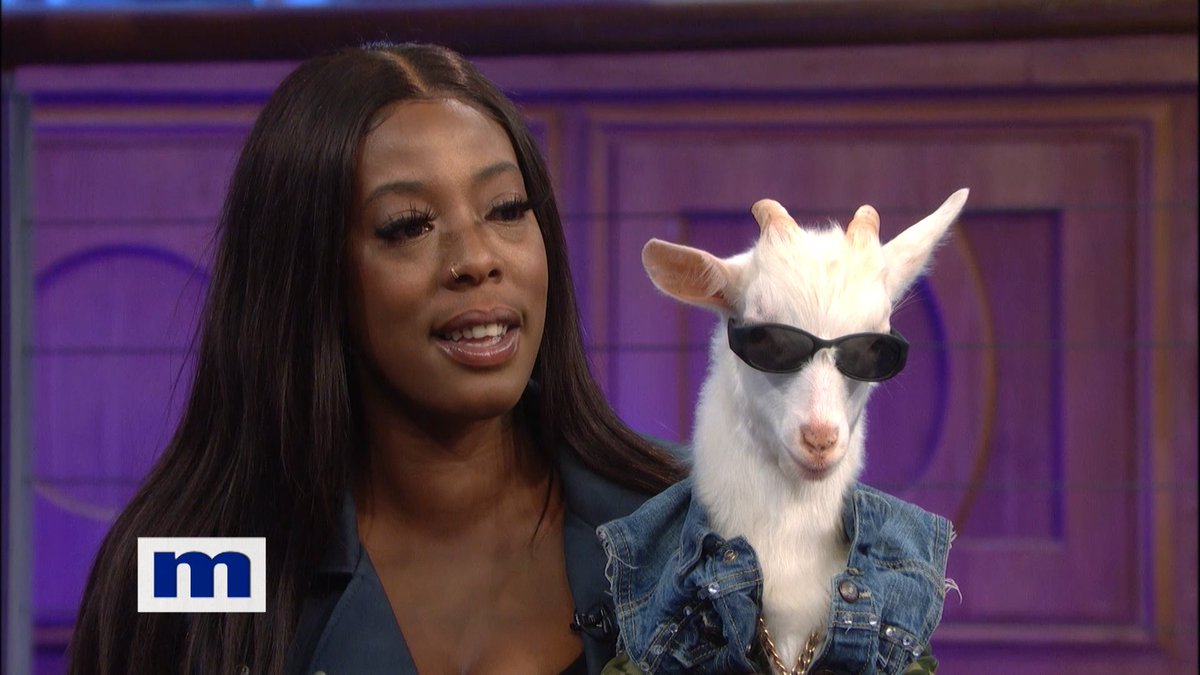 Billy the Goat Felting Fiber Arts etna.com.pe